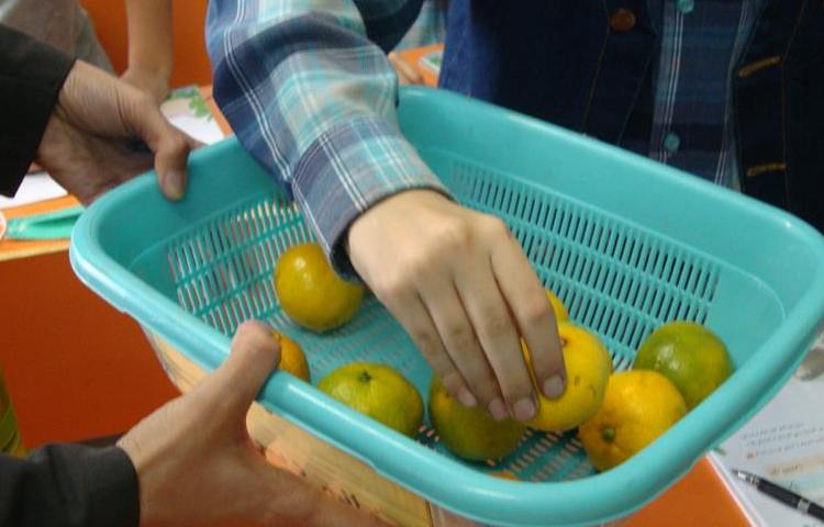 به وقت میان وعده در دبستان علوی 8