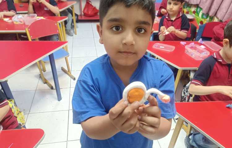 به کمک خمیر کِلِی حشرات درست کردیم. 1