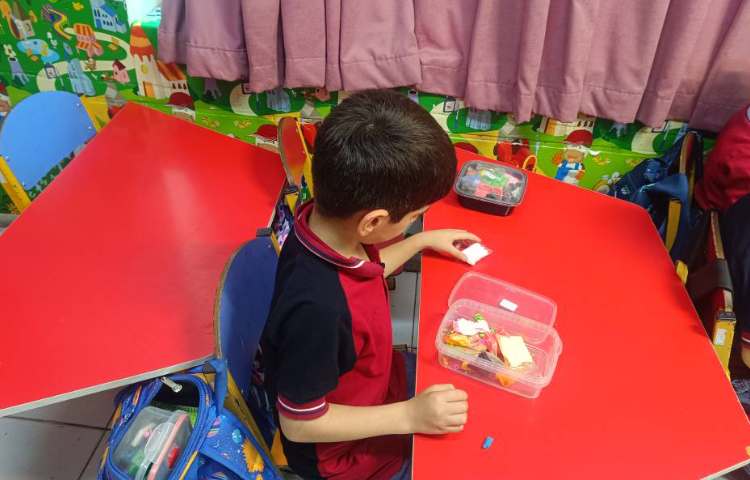 به کمک خمیر کِلِی حشرات درست کردیم. 6