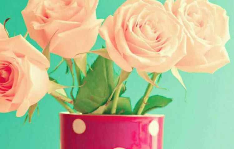 بوییدن گلها اثرات مفیدی روی مغز و موجب تقویت مغز و اعصاب می شود