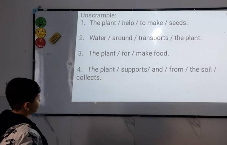 بیانِ عملکرد هر قسمت از یک گیاه-زنگ Science 1