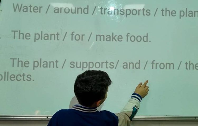 بیانِ عملکرد هر قسمت از یک گیاه-زنگ Science 1