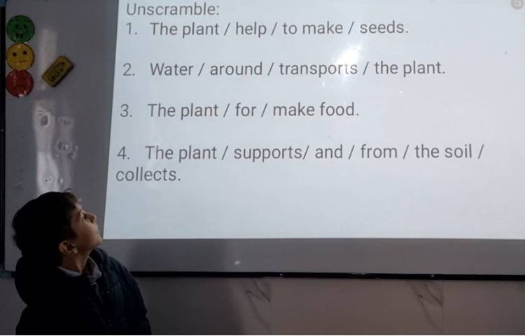 بیانِ عملکرد هر قسمت از یک گیاه-زنگ Science 2