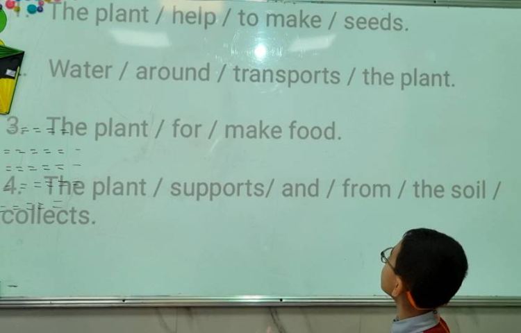 بیانِ عملکرد هر قسمت از یک گیاه-زنگ Science 2