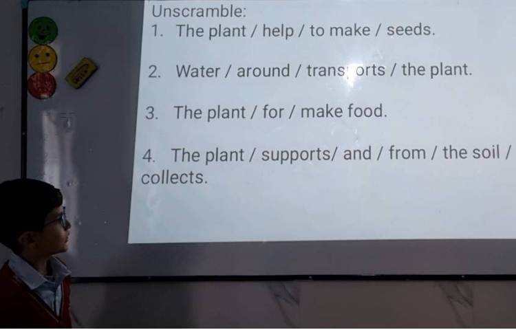 بیانِ عملکرد هر قسمت از یک گیاه-زنگ Science 3