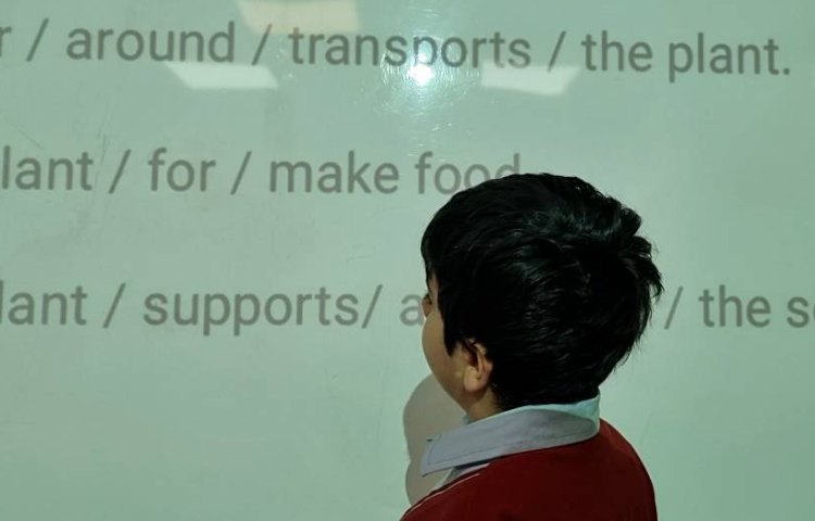 بیانِ عملکرد هر قسمت از یک گیاه-زنگ Science 3