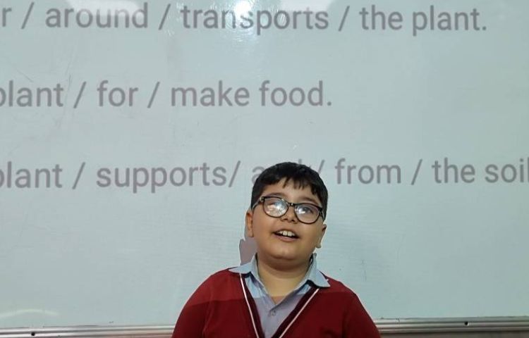 بیانِ عملکرد هر قسمت از یک گیاه-زنگ Science 4