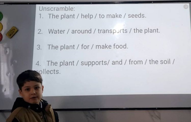 بیانِ عملکرد هر قسمت از یک گیاه-زنگ Science