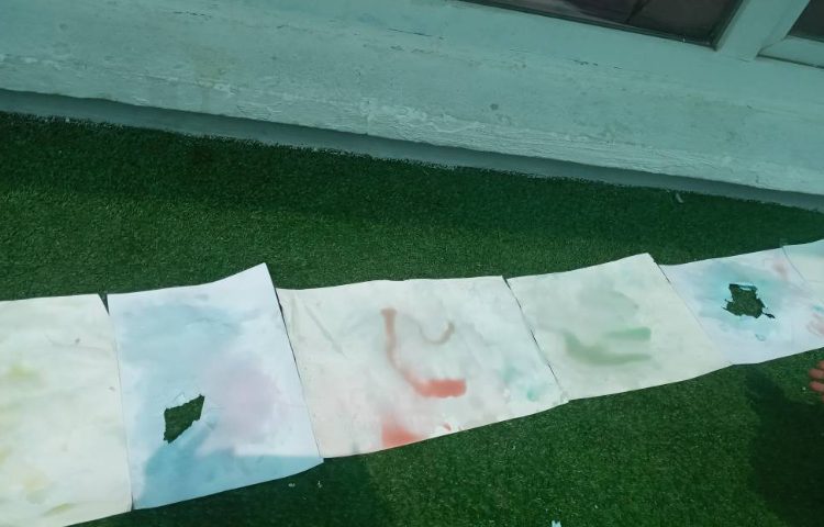 تابستانه/یخ‌های رنگی و رنگ آمیزی و نقاشی با آن 2