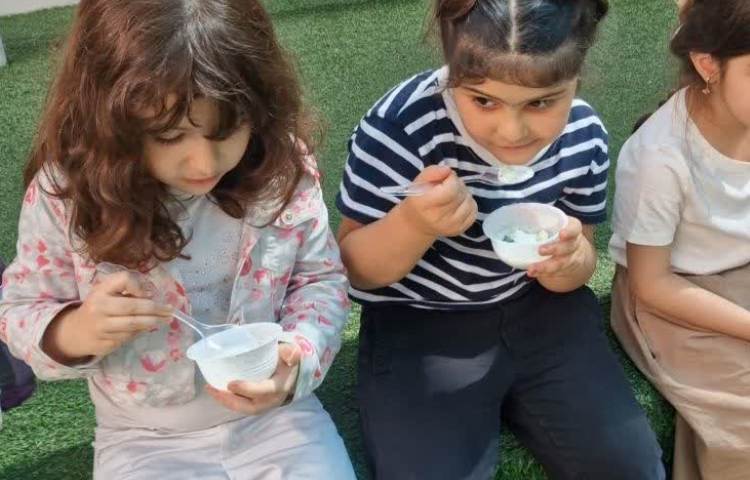 تابستانه 11