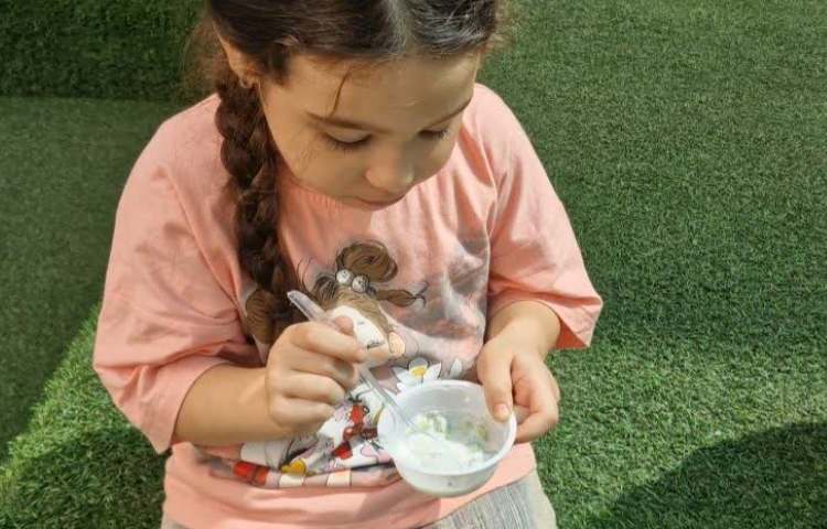 تابستانه 12