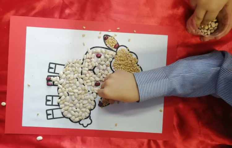 تابلو حبوبات هفته ملی علوم 1