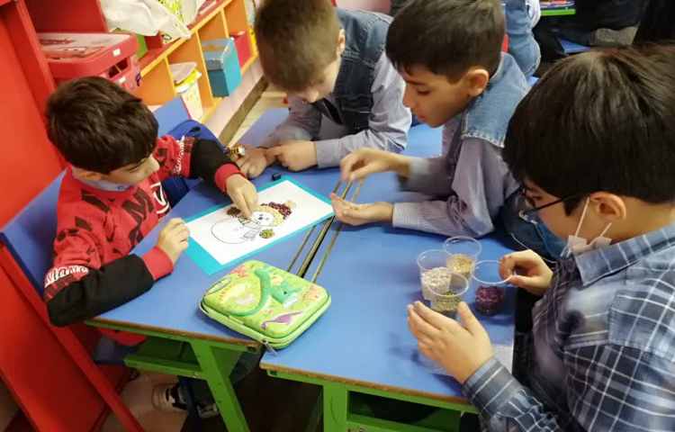 تابلو حبوبات هفته ملی علوم 10