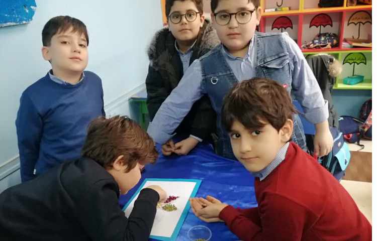 تابلو حبوبات هفته ملی علوم 2