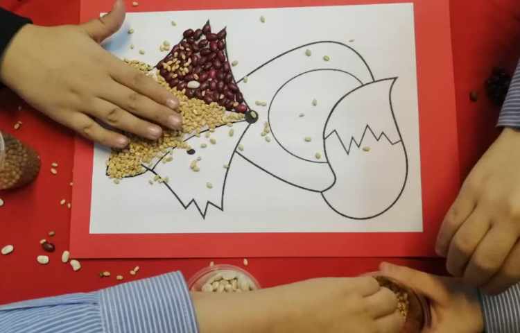 تابلو حبوبات هفته ملی علوم 2