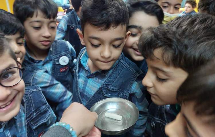 :تاثیر آب بر روی موادی مثل شکر، گچ، بیسکویت و کاغذ مربوط به درس 13 علوم 5