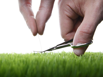 انواع کمال گرایی چیست؟