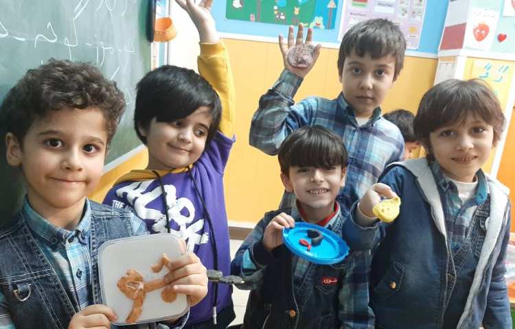 :تثبیت و استثنا با خمیر بازی، کلاس توت فرنگی