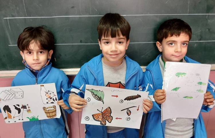 :تحقیق علوم در مورد جانوران توسط دانشمندان کلاس سیب