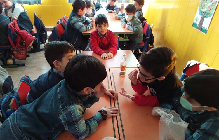 :تحقیق کرم خاکی 3