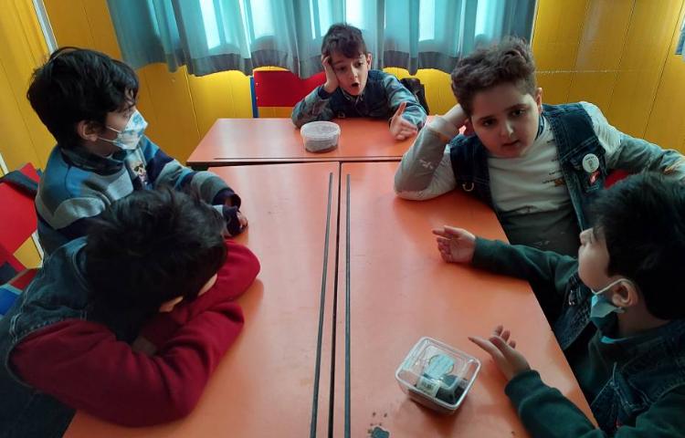 :تحقیق کرم خاکی 4