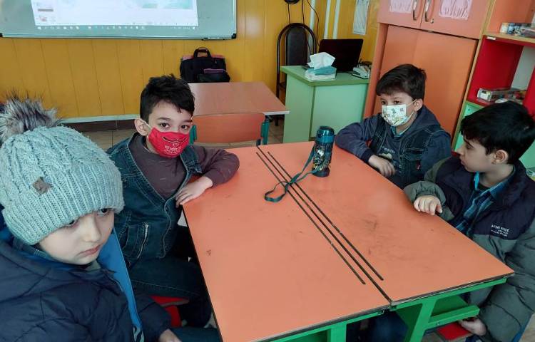 :تحقیق کرم خاکی