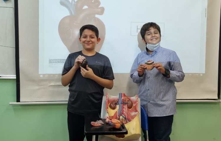 تدریس ارگان های داخلی بدن(علوم به زبان انگلیسی) 3