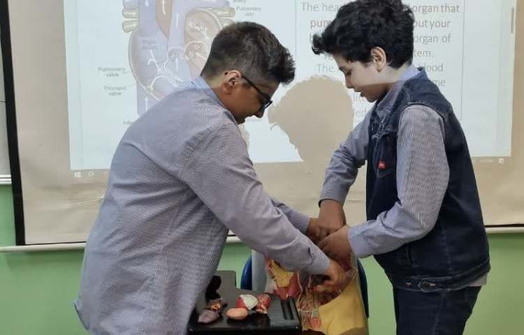 تدریس ارگان های داخلی بدن(علوم به زبان انگلیسی)