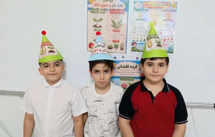 تدریس انواع گیاهان تک لپه و دو لپه 2
