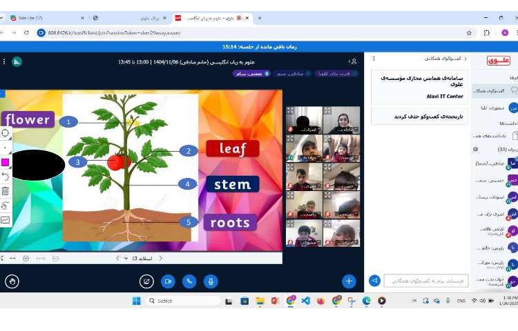 تدریس بخش‌های مختلف یک گیاه-زنگ Science 3