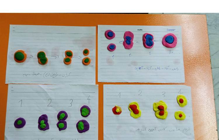 تدریس تلفیقی کسرهای مساوی و تقسیم سلولی 5