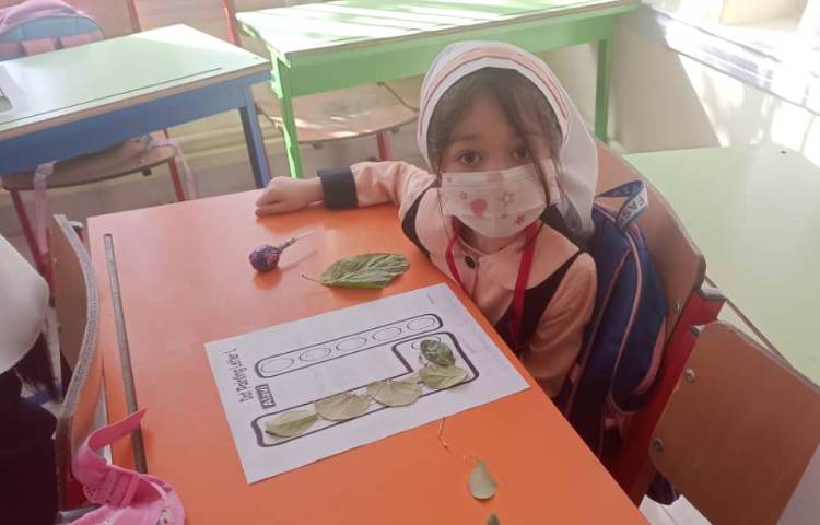 تدریس حرف Ll 4