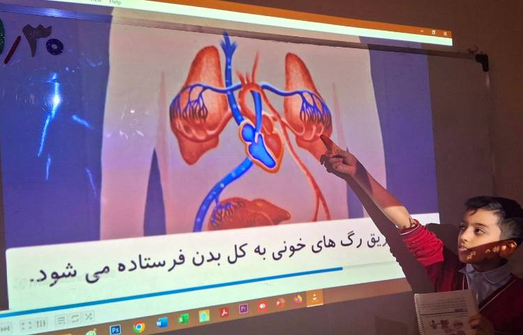 تدریس درس دهم علوم بدن ما (2) 4