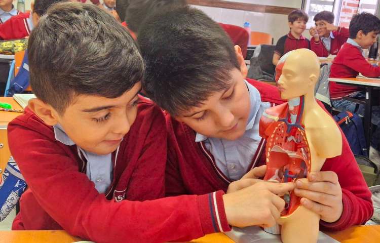 تدریس درس دهم علوم بدن ما (2) 7