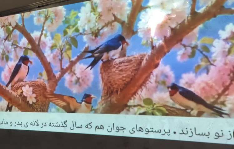 تدریس درس دوم فارسی 2