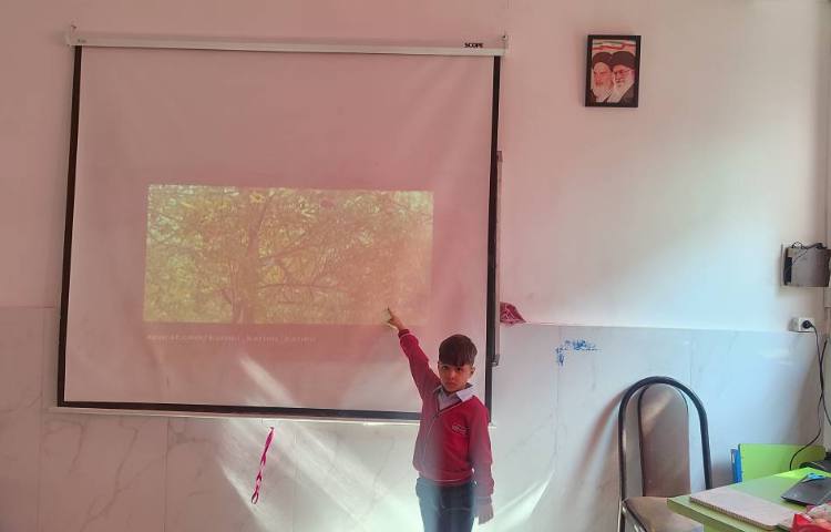 تدریس درس علوم مبحث( حواس پنج‌گانه) در کلاس اجرا شد. 1