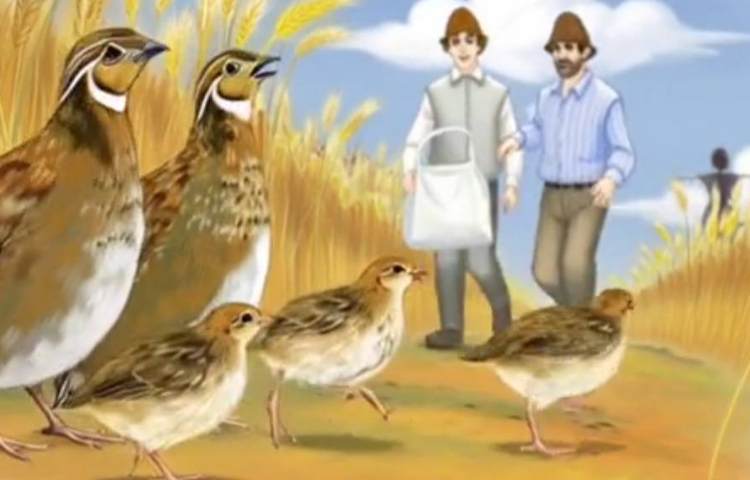 تدریس درس فارسی بلدرچین و برزگر 1