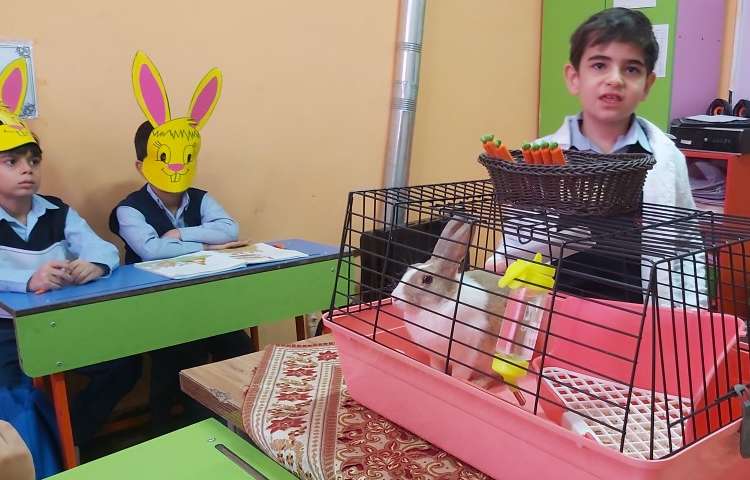 تدریس درس مدرسه خرگوشها در پایه دوم 2
