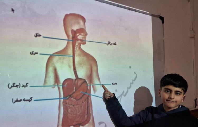 تدریس درس 11 کتاب کار علوم 1
