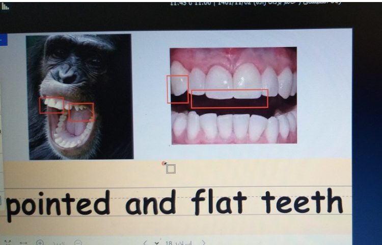 تدریس درس 5 3