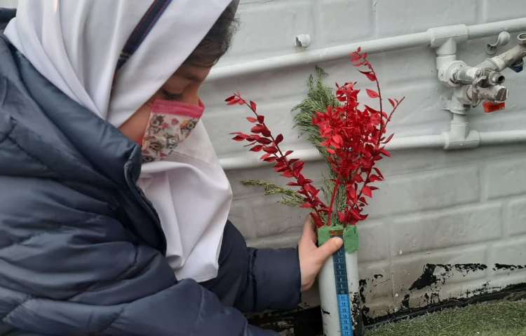 تدریس ریاضی پایه دوم (مبحث اندازه گیری ، میلی متر ، سانتی متر )