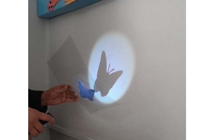 تدریس سایه ها