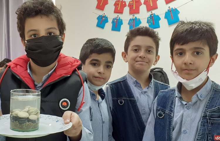 تدریس سنگها-سنگ رسوبی 1