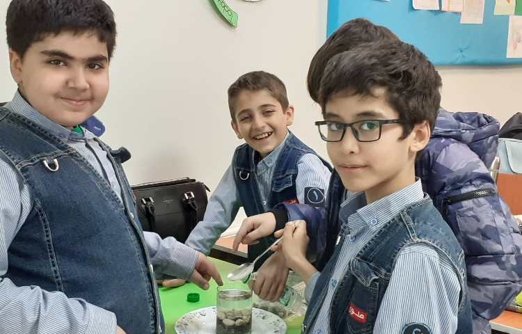 تدریس سنگها-سنگ رسوبی 5