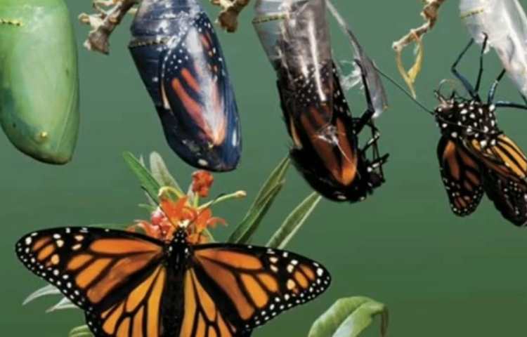 تدریس علوم درس 10 1