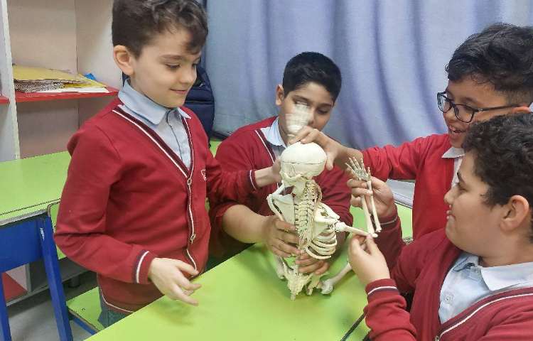 تدریس علوم فصل 12 5