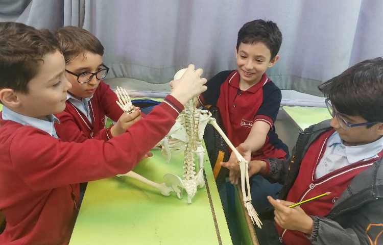 تدریس علوم فصل 12