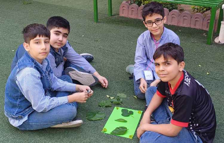 تدریس علوم و تفاوت برگ ها 1