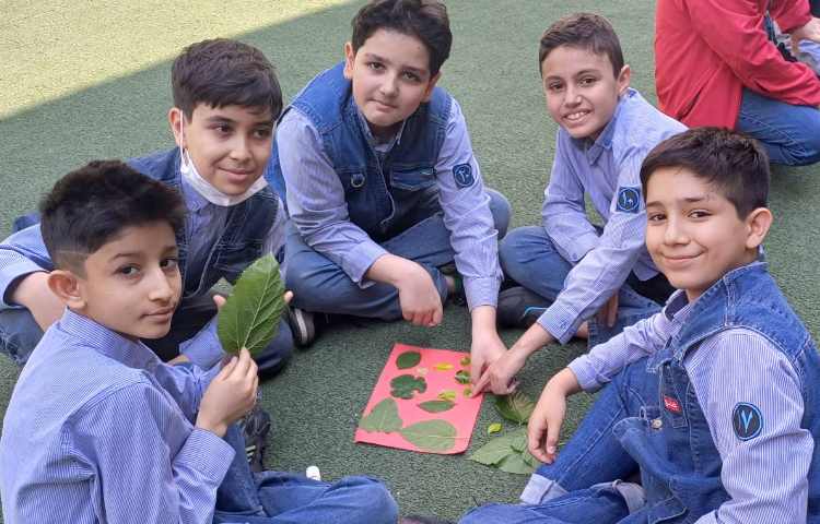 تدریس علوم و تفاوت برگ ها 2