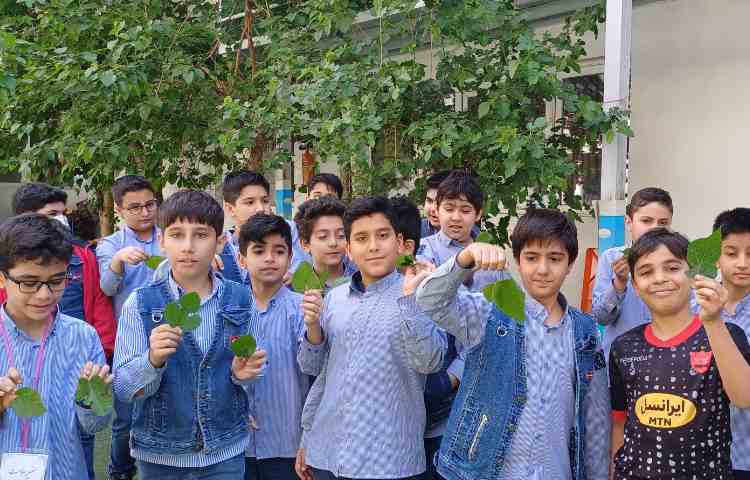 تدریس علوم و تفاوت برگ ها